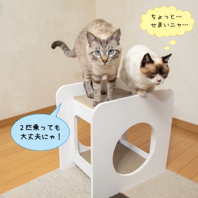 猫のつめとぎ+House「しかく」(ぷらすはうすしかく)