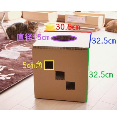 遊べる猫用爪とぎボックス「穴があったら入りたい」