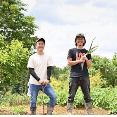 朝採れ旬の野菜セット【7-9品目】