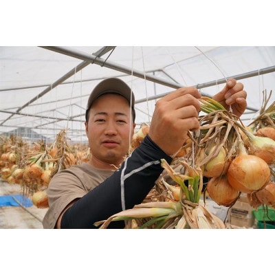 【発送月固定定期便】濃い味!朝採れ旬の野菜セット 12品目全6回