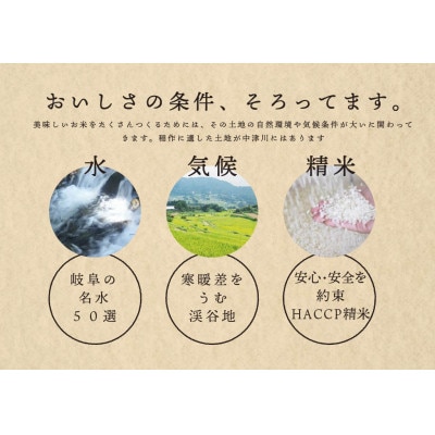 2023年3月発送開始『定期便』岐阜県産棚田米　1等米コシヒカリ　はちたか米10kg　全6回