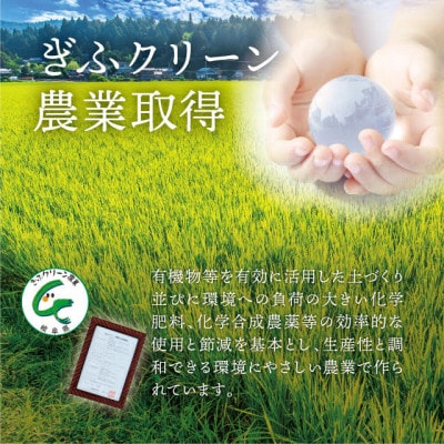 2023年3月発送開始『定期便』岐阜県産棚田米　1等米コシヒカリ　はちたか米10kg　全6回