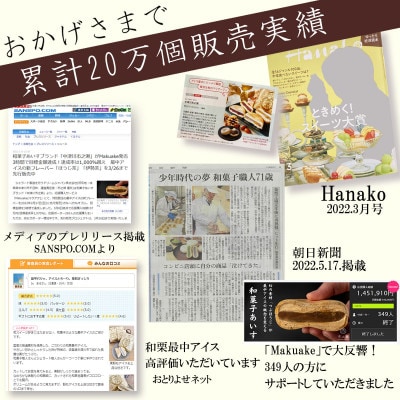 【中津川市之瀬】　和栗最中アイス　8個入