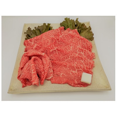冷蔵でお届け!飛騨牛A5ランク　もも　すき焼き・しゃぶしゃぶ用　500g