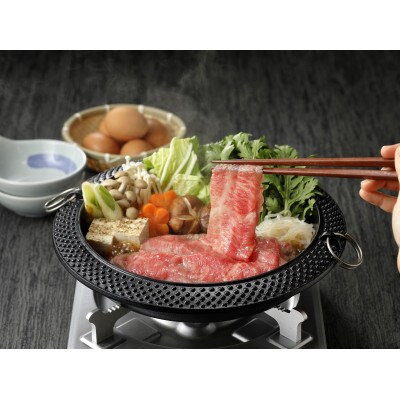 冷蔵でお届け!飛騨牛A5ランク　ロース　すき焼き・しゃぶしゃぶ用　500g