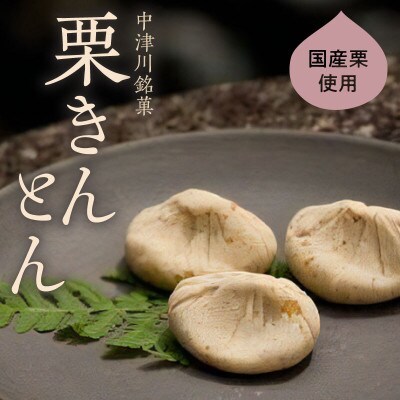 【老舗 くり屋南陽軒】栗きんとん 10個入