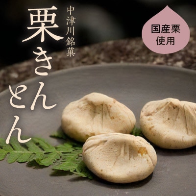 【老舗 くり屋南陽軒】栗きんとん 30個入