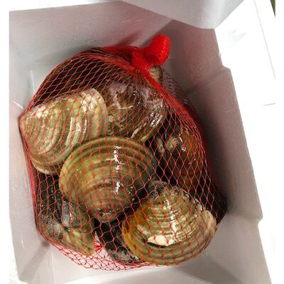桑名産大蛤1.2kg m_54