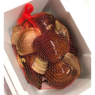 桑名産大蛤1.6kg b_55