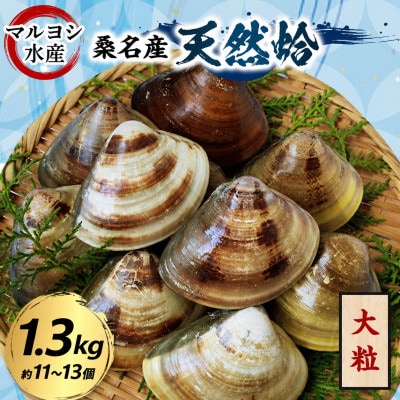 マルヨシ水産　桑名産大粒天然蛤1.3kg 017-0197