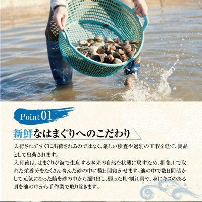 マルヨシ水産　桑名産大粒天然蛤2kg 017-0198