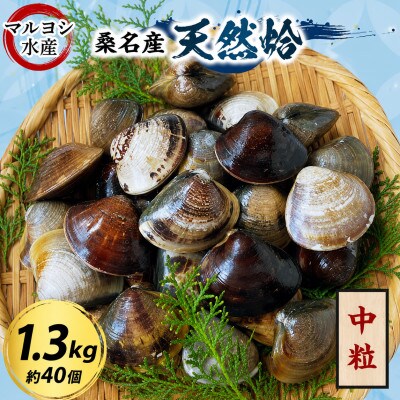 マルヨシ水産　桑名産中粒天然蛤1.3kg 017-0201