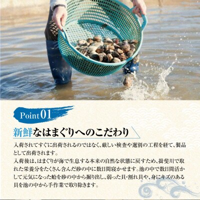 マルヨシ水産　桑名産中粒天然蛤2kg 017-0202