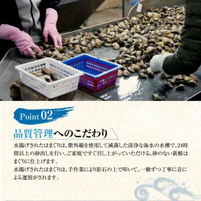 マルヨシ水産　桑名産中粒天然蛤2kg 017-0202
