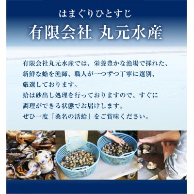 丸元水産　桑名産天然蛤0.7kg 023-0049x2