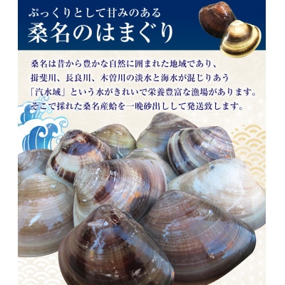丸元水産　桑名産天然蛤4.0kg 023-0033x1