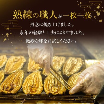 木曽三川うなぎ大5人前+きざみ蒲焼 ba07