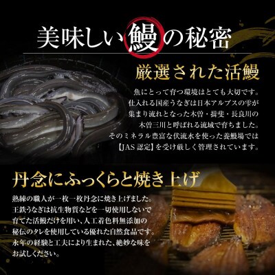 木曽三川うなぎ大5人前+きざみ蒲焼 ba07