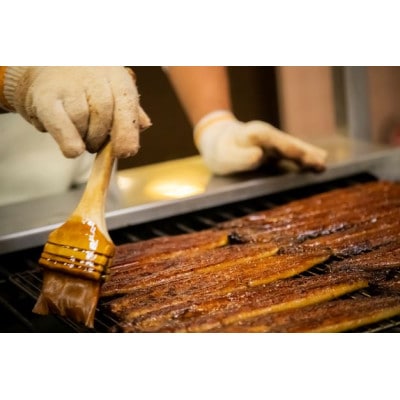 【2ヵ月毎定期便】木曽三川うなぎ長焼き全4回 va02