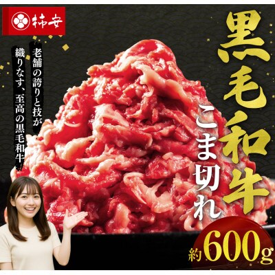柿安本店 黒毛和牛 小間切れ 約600g 　a_98