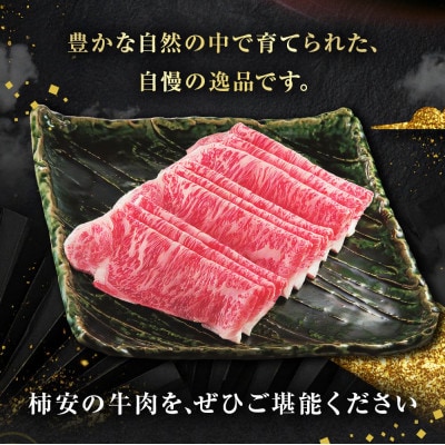 柿安本店 黒毛和牛 ロースすき焼 切りおとし 500g 黒毛和牛　b_41
