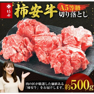 柿安本店 柿安牛 切落し 計500g　aa02