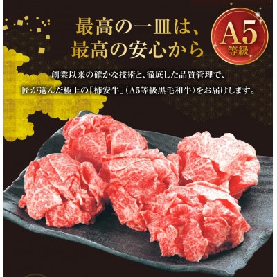柿安本店 柿安牛 切落し 計500g　aa02