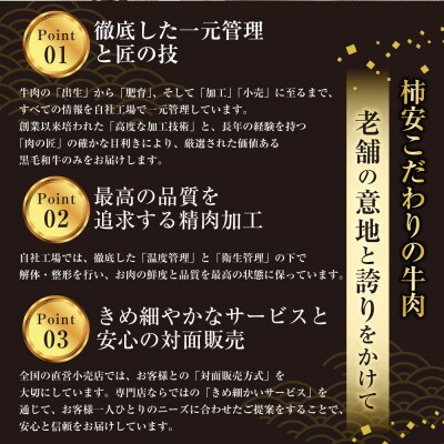 柿安本店　料亭しぐれ煮詰合せ　GS30　a*38