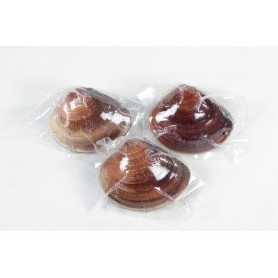 桑名産天然はまぐり10年もの(レトルト)3粒入 053-0149