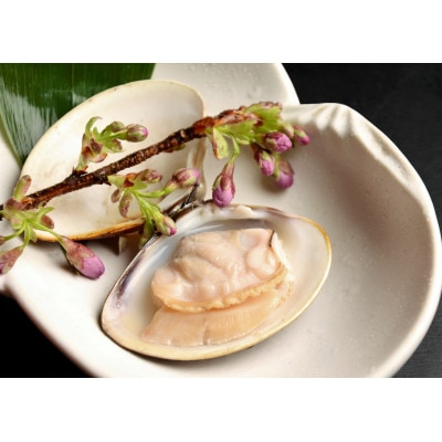 桑名産天然はまぐり10年もの(レトルト)3粒入 053-0149