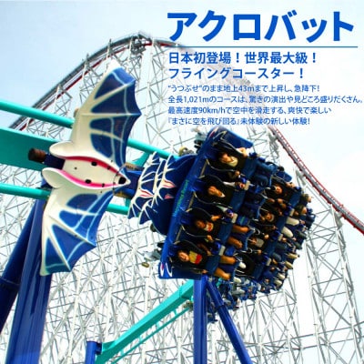 ナガシマスパーランド パスポート券 大人2名【有効期限有り】047
