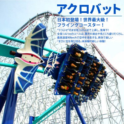 ナガシマスパーランド パスポート券 大人2名【有効期限有り】047-1352x1