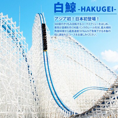 ナガシマスパーランド パスポート券 大人2名【有効期限有り】047-1352x1