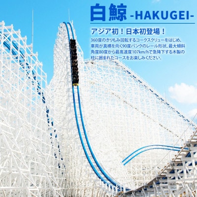 ナガシマスパーランド パスポート券 大人1名【有効期限有り】047-0131x2