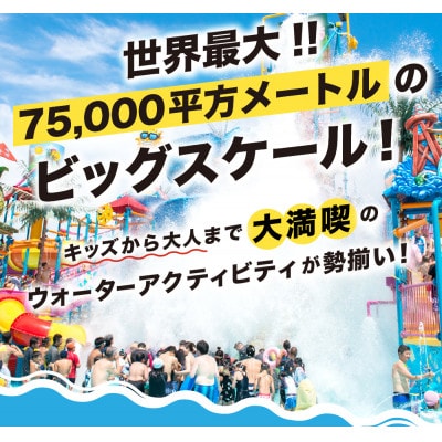 ナガシマスパーランド入場券およびジャンボ海水プール券 大人4名【有効期限有り】047-1448