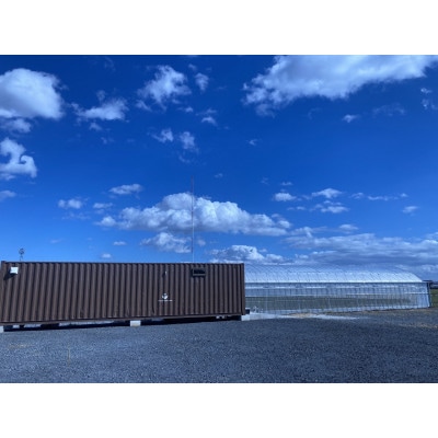 【さとふる限定】完熟プレミアムいちご「グランベリー」品種:ほしうらら　2パック