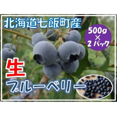 ブルーベリー500g×2パック