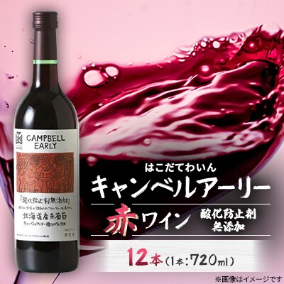 酸化防止剤無添加　キャンベルアーリー　720ml　12本
