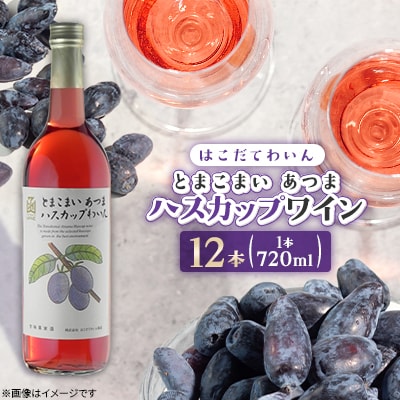 とまこまい あつまハスカップワイン　720ml　12本
