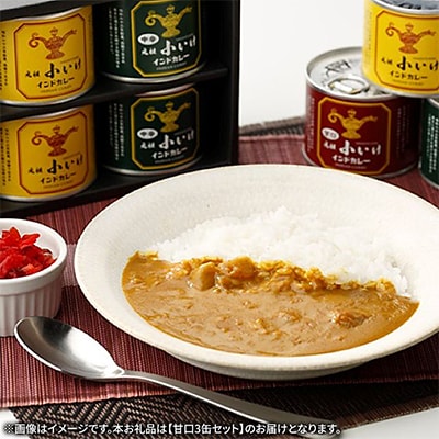元祖小いけインドカレー 甘口3缶セット