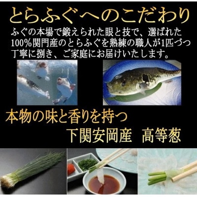 【生・冷蔵便】とらふぐ三昧セット(刺身・鍋4～5人前)FI22-S66