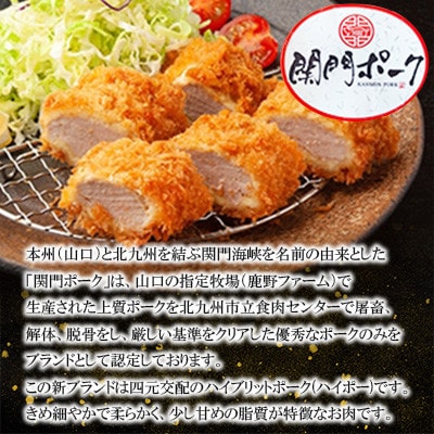 関門ポークのヒレ肉(1.2kg)　ST14-S11