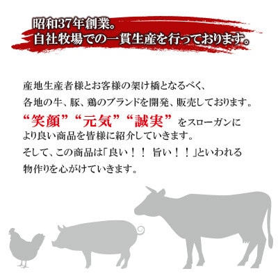 関門ポークのヒレ肉(1.2kg)　ST14-S11