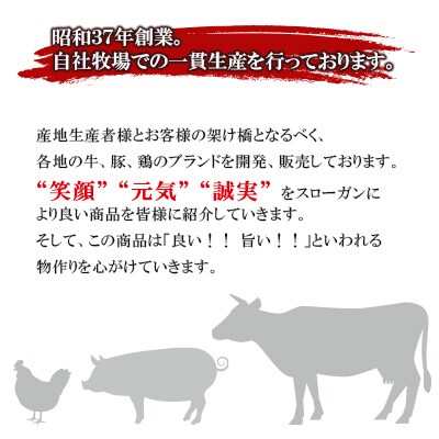関門ポーク切落し 2.0kg