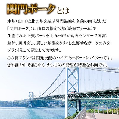 関門ポークローススライス 800g
