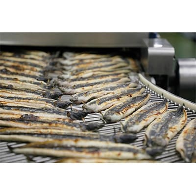 九州産うなぎ蒲焼特大3尾(1尾あたり200～235g) FY13-S21