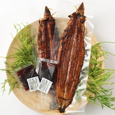 九州産手焼き炭火うなぎ蒲焼2尾(1尾あたり120～149g) FY17-S14