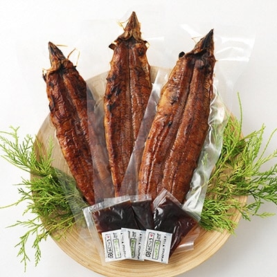 九州産手焼き炭火うなぎ蒲焼3尾(1尾あたり120～149g) FY18-S21