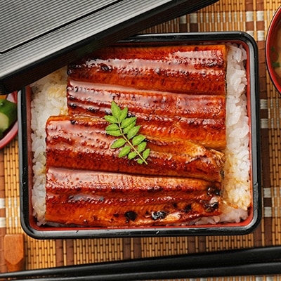 鰻天屋の九州産うなぎ 蒲焼大4尾(1尾あたり156～189g)　FY22-S23