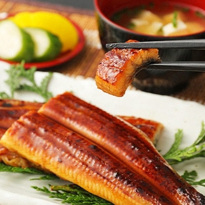鰻天屋の九州産うなぎ 蒲焼大5尾(1尾あたり156～189g)　FY23-S29